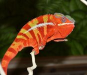 DSC_6853_01.jpg