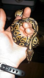 Baby ball1.jpg