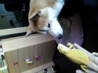 20130922_173422.jpg
