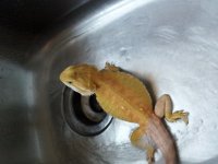 20130922_173004.jpg