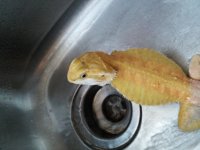 20130922_173013.jpg