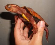 zoo3.jpg