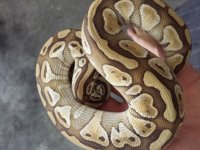 20131215_162733.jpg