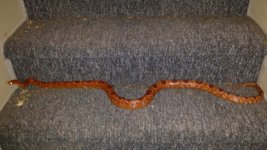 20140410_162503.jpg