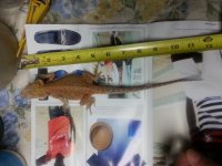 20140319_231545.jpg