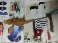 20140319_231512.jpg