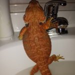 IMG_20130911_162258.jpg