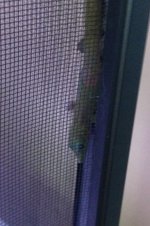 daygeck1.jpg