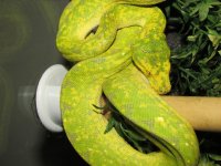 IMG_0079.jpg