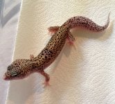 IMG_2854.jpg