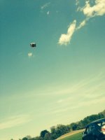 bouncy house flies.jpg