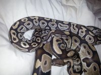 20140330_202238.jpg
