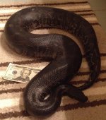 blk blood.jpg