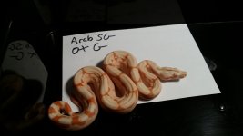 G.jpg