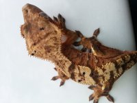 20130815_153323.jpg 20130815_153323.jpg