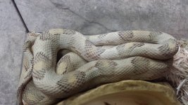 20140513_125144.jpg