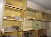 ReptiRoom_ 006a (640x471).jpg