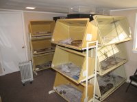 ReptiRoom_ 007 (640x480).jpg