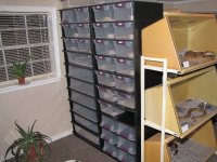ReptiRoom_NeoRacks (640x480).jpg