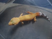 20131114_221726.jpg