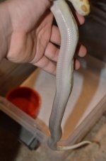 DSC_6139.jpg