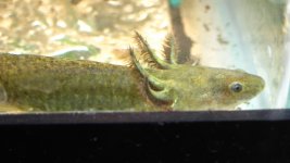 IMG_0001.jpg