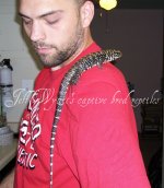tegu.jpg