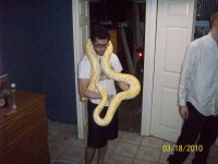retic 033.jpg