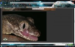 ScreenShot006.jpg