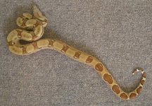 7-28-2010 01.jpg