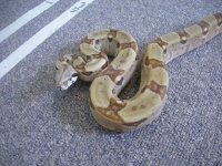7-28-2010 02.jpg