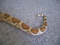 7-28-2010 03.jpg