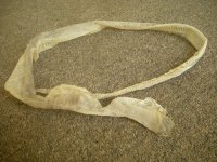 7-28-2010 04.jpg