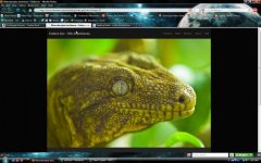 ScreenShot007.jpg