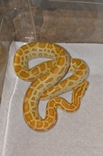 DSC_6125.jpg