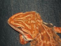 IMG_4406.JPG