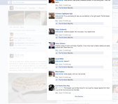 2014-02-19 14_21_39-The Pet Gecko.png