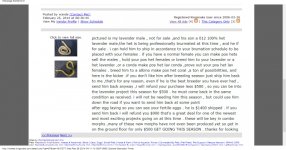 Kingsnake.com Classifieds  get into lavernders cheap ,best guarantee ever see details LOOK (1).jpg