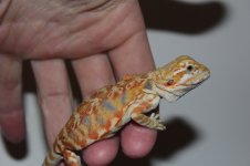 IMG_8872.jpg
