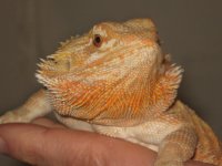 IMG_5153.JPG