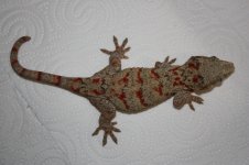 IMG_9458.JPG