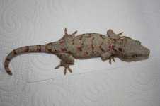 IMG_9459.JPG