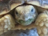 20140226_101117.jpg