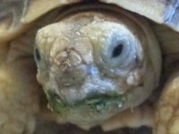 20140226_101044.jpg