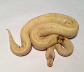 IMG_8365.jpg