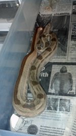 IMG_20130803_072217_543.jpg