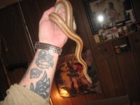 IMG_0682.JPG