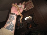 IMG_0683.JPG
