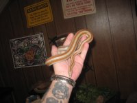 IMG_0684.JPG