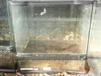 tanks for sale 002.jpg